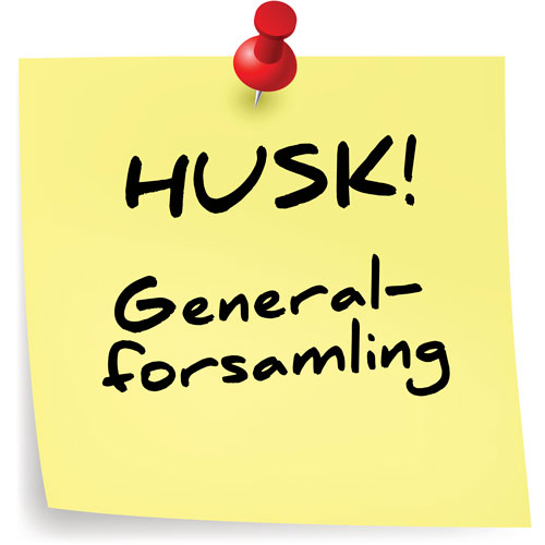 Generalforsamling den 13/2